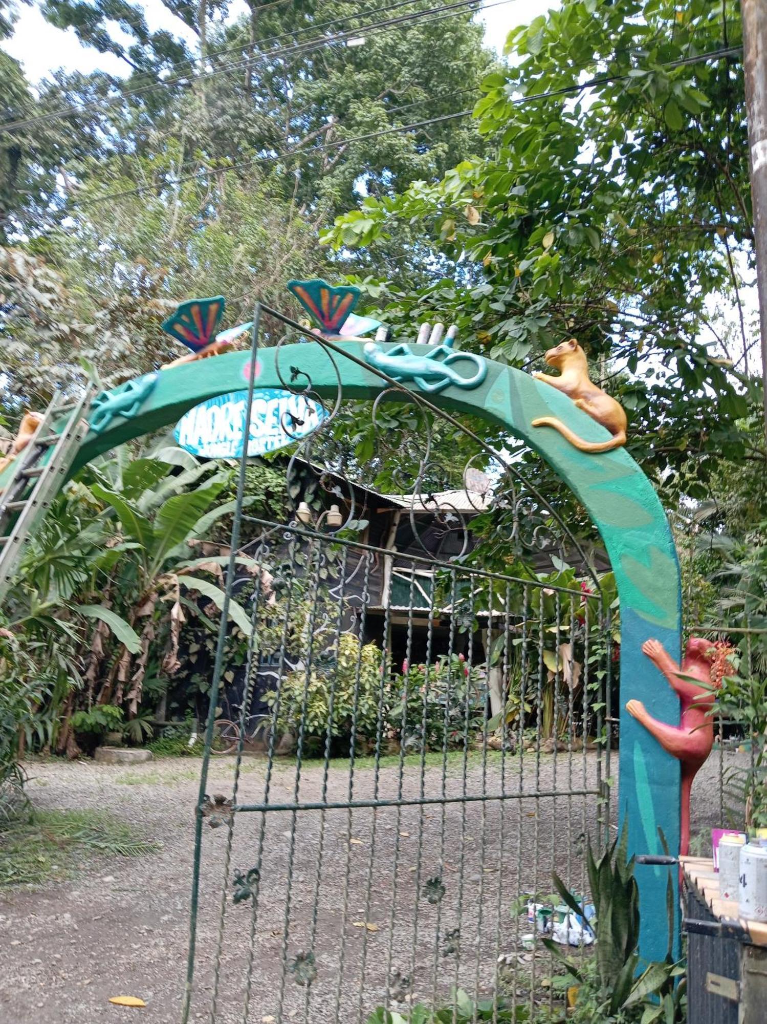 Madre Selva Hostel Puerto Viejo de Talamanca Exterior photo