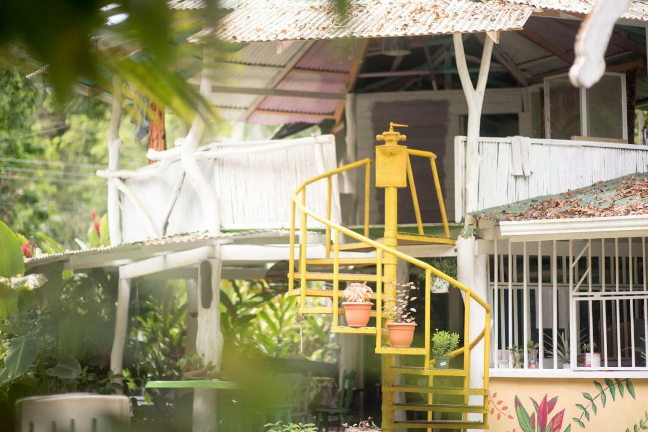 Madre Selva Hostel Puerto Viejo de Talamanca Exterior photo